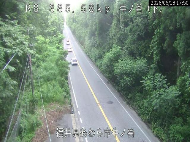 福井バイパスの渋滞ライブカメラ「牛ノ谷(下り)ライブカメラ」のライブ画像